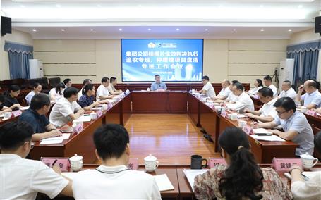 陸志斌出席集團公司桂柳片生效判決執(zhí)行追收和停緩建項目盤活專班工作會議