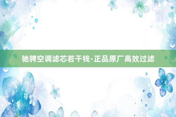 驰骋空调滤芯若干钱-正品原厂高效过滤